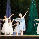DSC08842.jpg