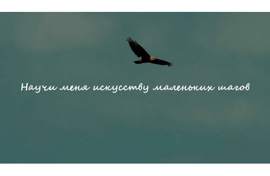 «Научи меня искусству маленьких шагов!» - Наталья Проскурина, Кристина Фарафонова
