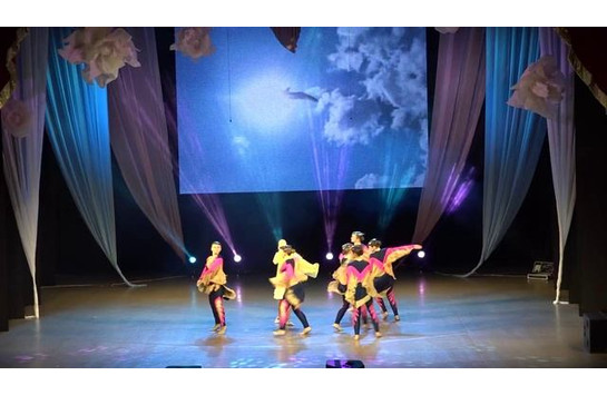 Концерт, посвящённый Дню матери «Мы вместе!»