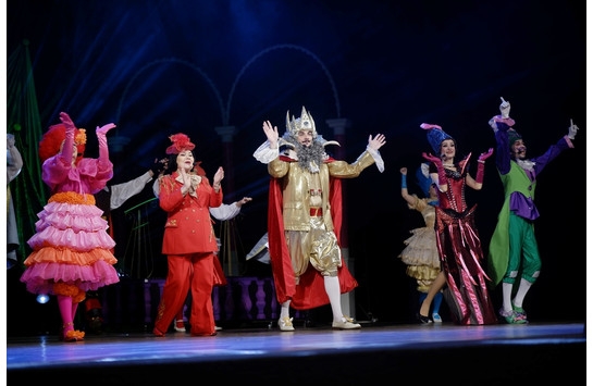 Новогоднее представление (28.12.2025)