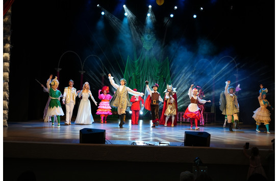 Новогоднее представление (05.01.2026)