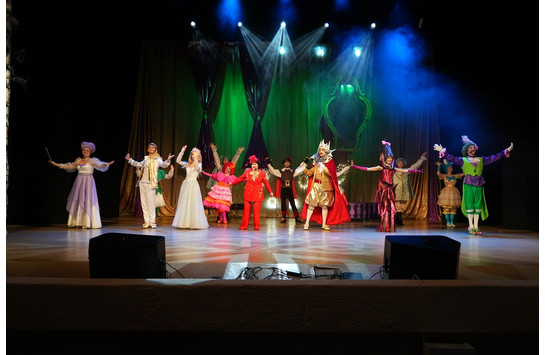 Новогоднее представление (08.01.2026)